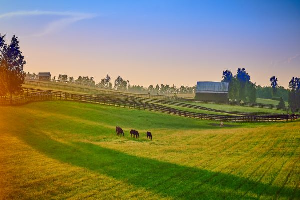 Estate Planning for Farms and Ranches